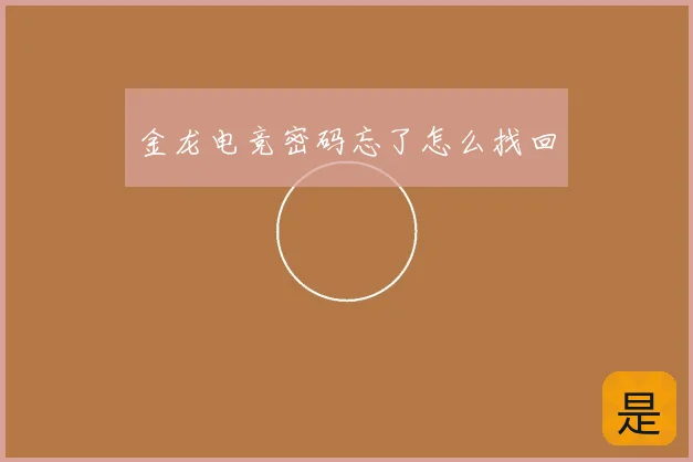 金龙电竞密码忘了怎么找回